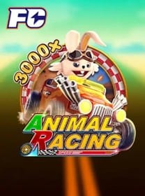365jogos